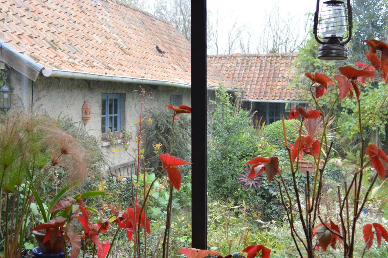 Bed and Breakfast Le Jardin Sauvage Maintenay Exterior foto