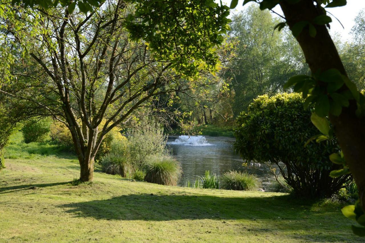 Bed and Breakfast Le Jardin Sauvage Maintenay Exterior foto